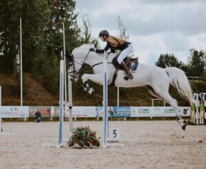 Equipement du cheval