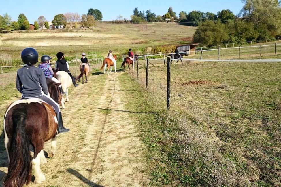 Les centres équestres en Gironde / Centre équestre de La Réole