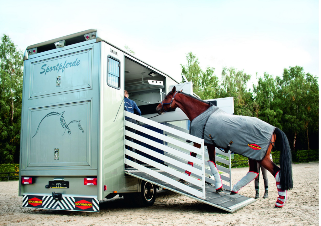 Equiper votre cheval dans le transport